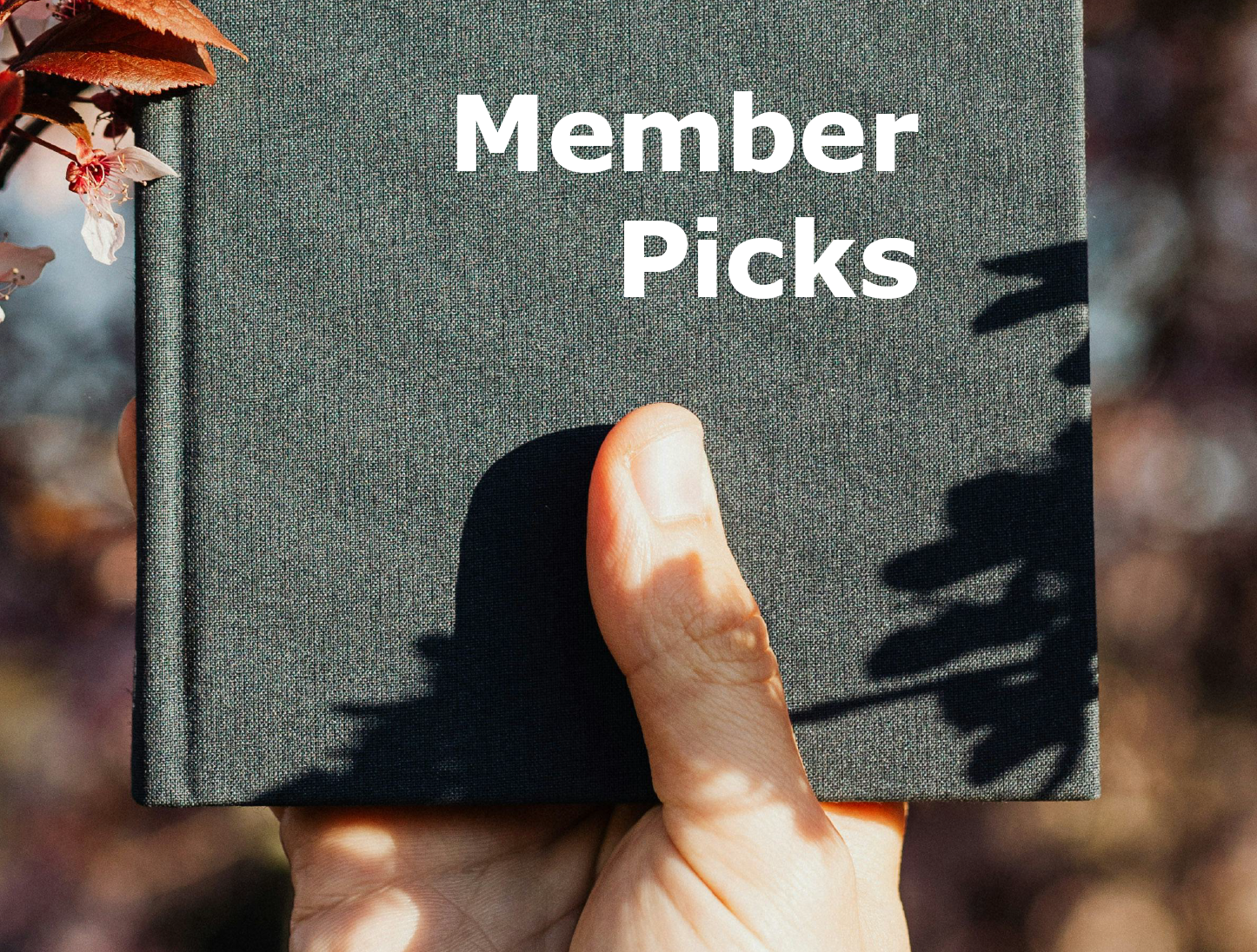 Image button for Member Picks, a close up of a hand holding a black book up